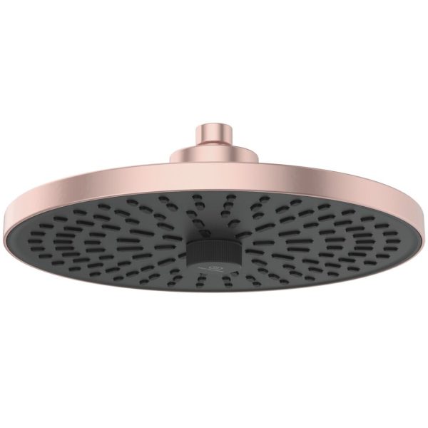 CAP DUS FIX IDEALRAIN ALU+, DIAM 260 MM, 2 JETURI, ROSE