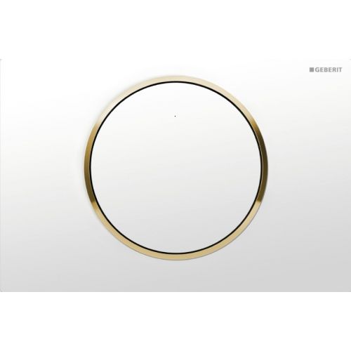 CLAPETA ACTIONARE REZERVOR INCASTRAT SIGMA 10 ALB-AURIU-ALB