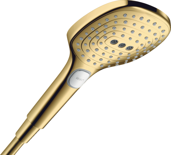 PARA RAINDANCE SELECT E120  3 JET, POLISHED GOLD OPTIC