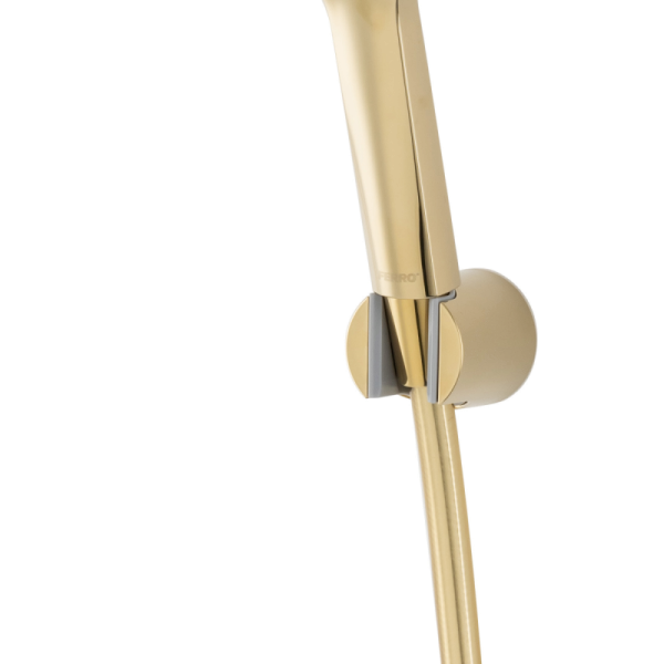 SET DUS INULA, CU SUPORT, FURTUN SI PARA DUS 1 FUNCTIE, AURIU LUCIOS