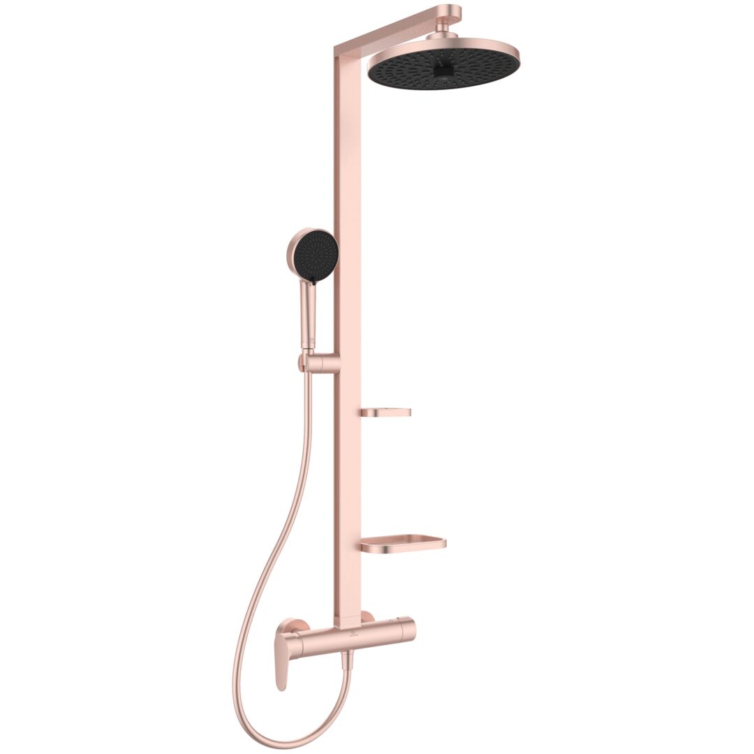 SISTEM DUS MONOCOMANDA CERAFLOW ALU+ ,CAP DUS 260 MM 2 JETURI, FURTUN 1750MM SI PARA 100MM 2 JETURI, ROSE - imagine 1