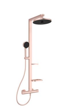 SISTEM DUS TERMOSTATIC CERATHERM ALU+ ,CAP DUS 260 MM 2 JETURI, FURTUN 1750MM SI PARA 100MM 2 JETURI, ROSE