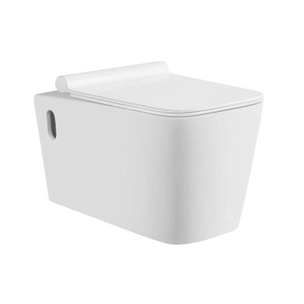 Vas WC suspendat alb 005
