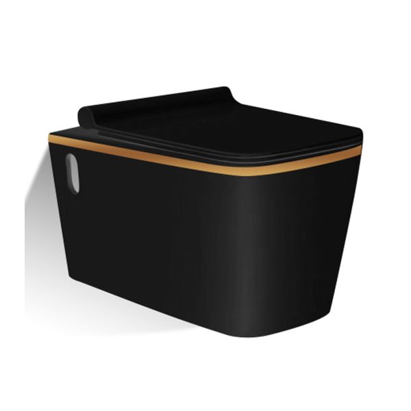Vas WC suspendat negru auriu 005